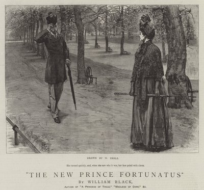 The New Prince Fortunatus by William Small